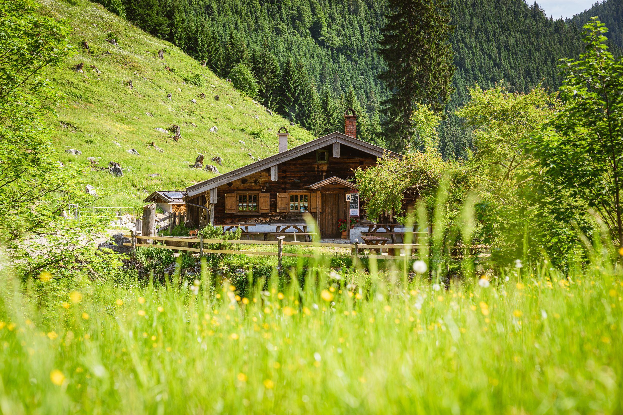 Brander Alm