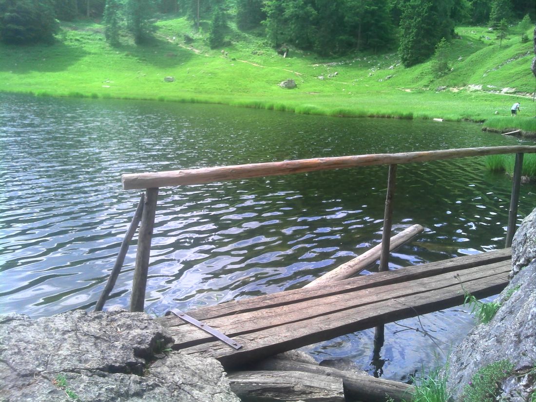 taubensee (2)