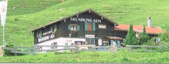 Bründling neu