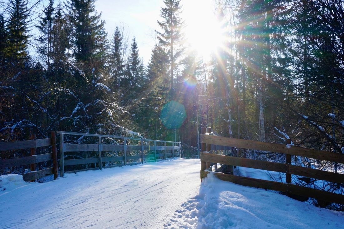 Winterwandern Kaiserblick Lofer