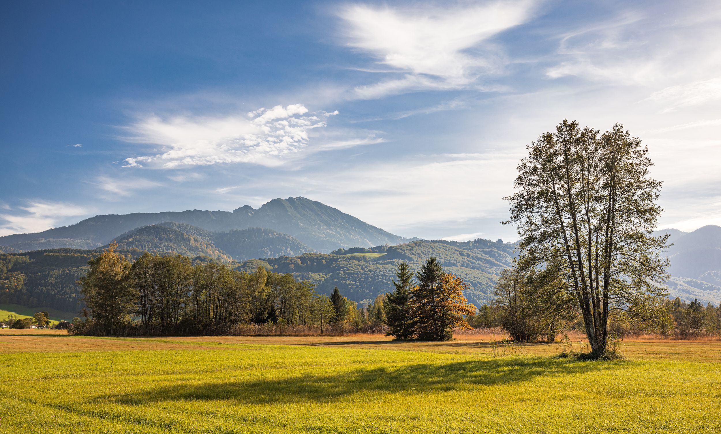 Bergener Moos mit Blick zum Hochfelln