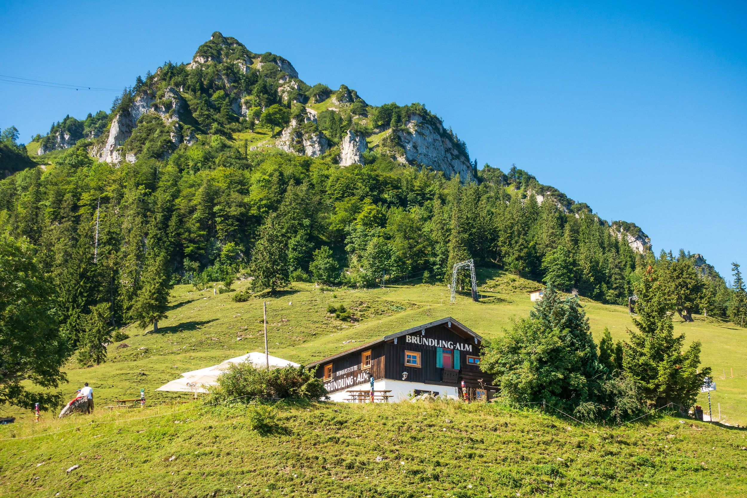 Bründling-Alm-unter-dem-Hochfelln