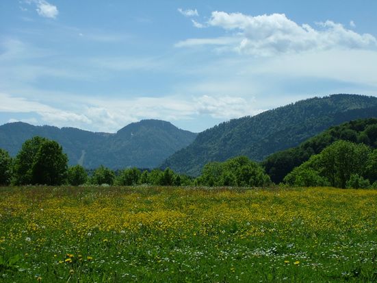 Sommer in Siegsdorf