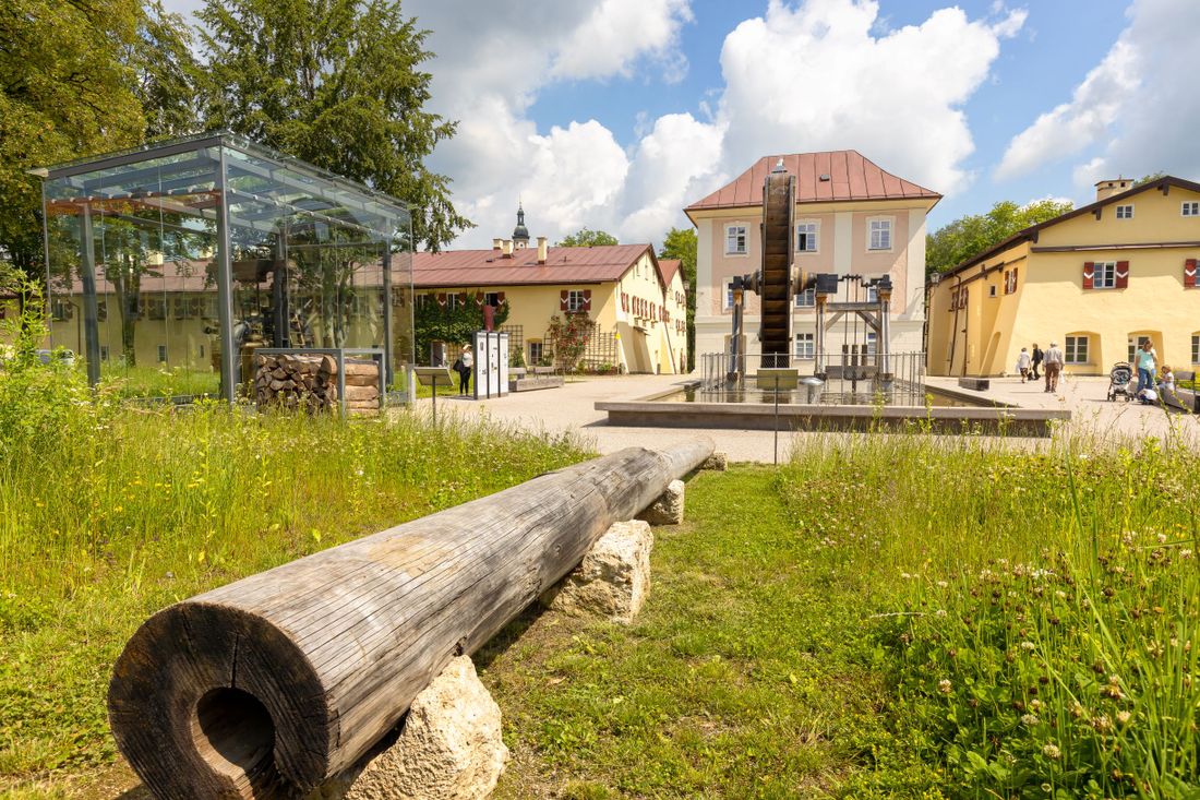 Salinenpark 2020 © Richard Scheuerecker 1