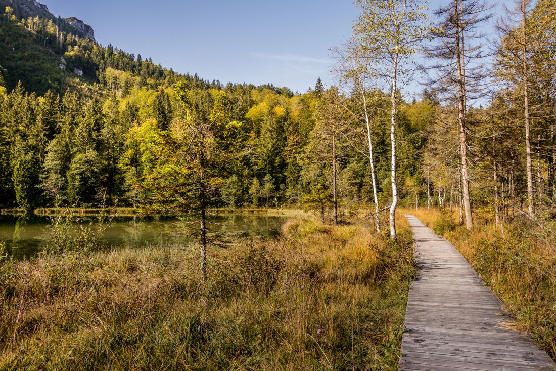 Steg am Inzeller Frillensee