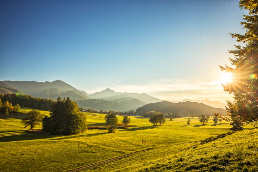 Bergener Moos mit Hochfelln und Hochgern