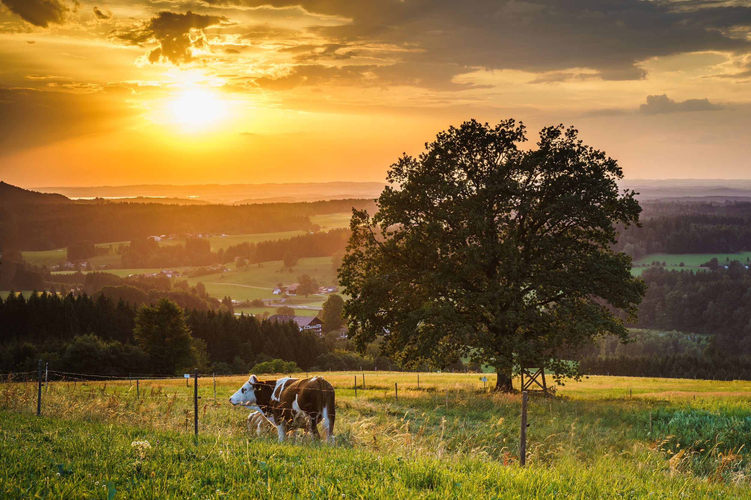 Aussicht Abends mit Blick Richtung Chiemsee