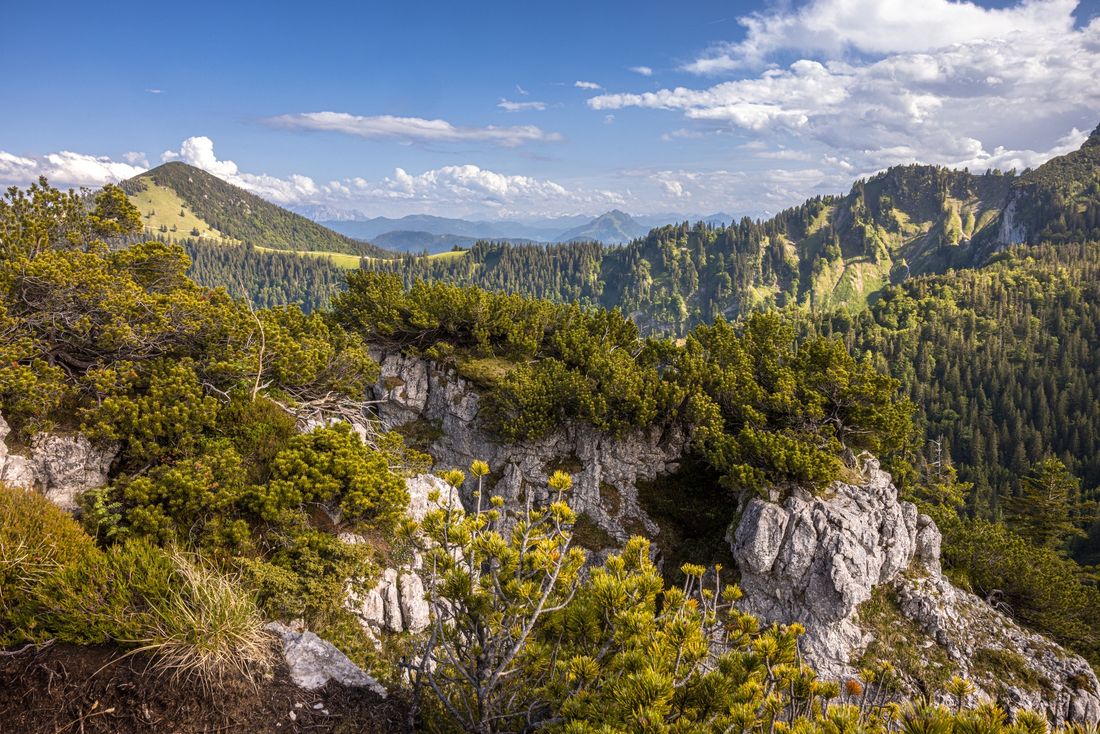 Wandern auf der Gedererwand