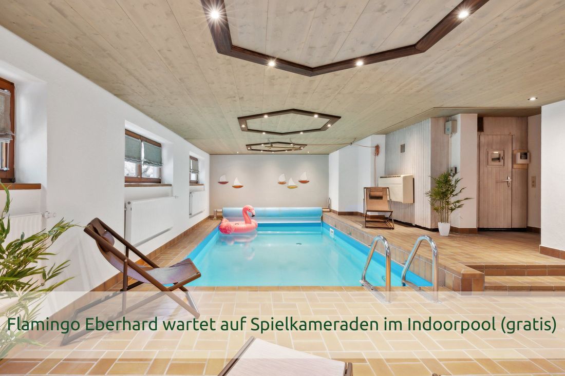 Flamingo Eberhard wartet auf Spielkameraden im Innenpool (gratis)