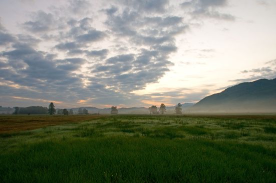 Blick ins Bergener Moos