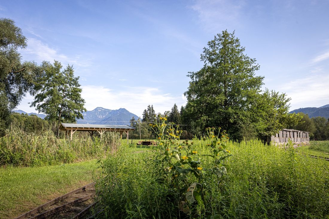 Der Torfbahnhof in Rottau
