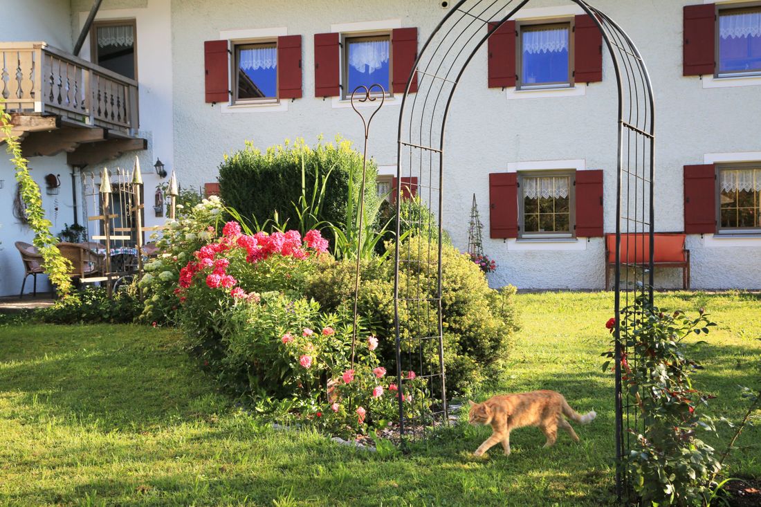 Gartenbereich