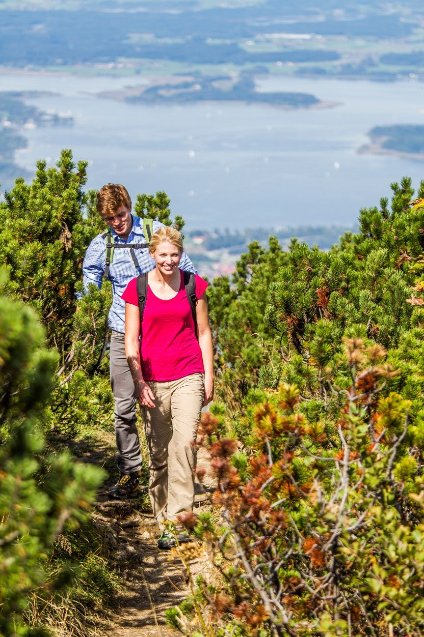 Auf dem Weg zum Hochplattengipfel
