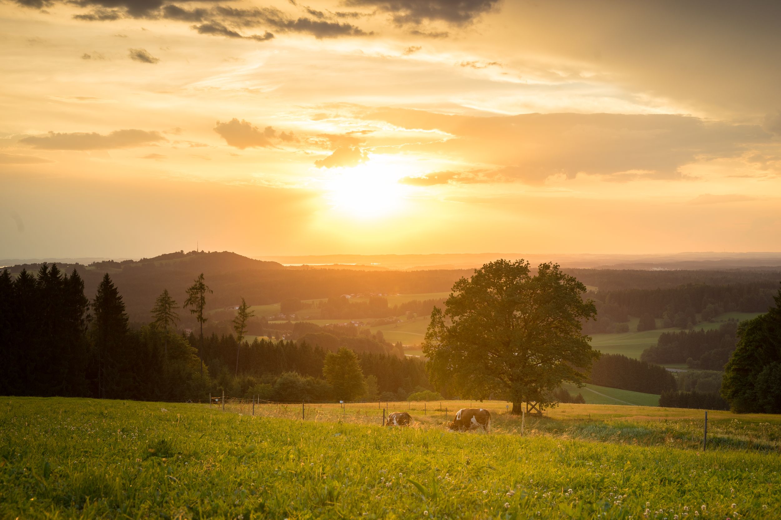 Aussicht vom Riedl aus