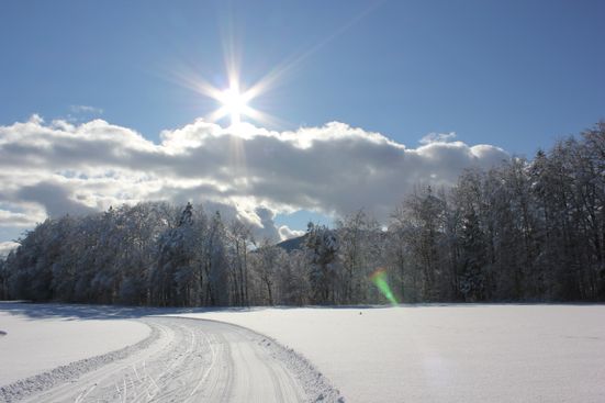 Langlaufen in Siegsdorf