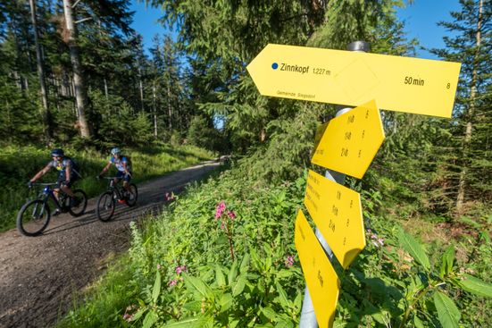 Mit dem MTB um den Zinnkopf