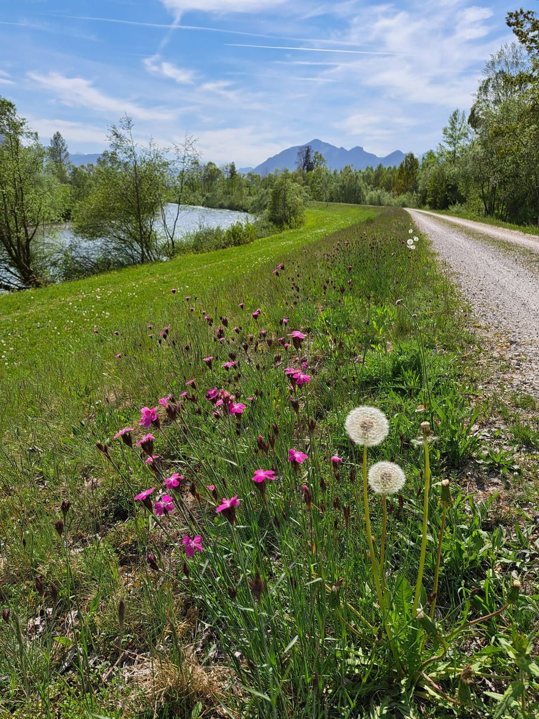 Auf dem Rad-und Wanderweg am Achendamm