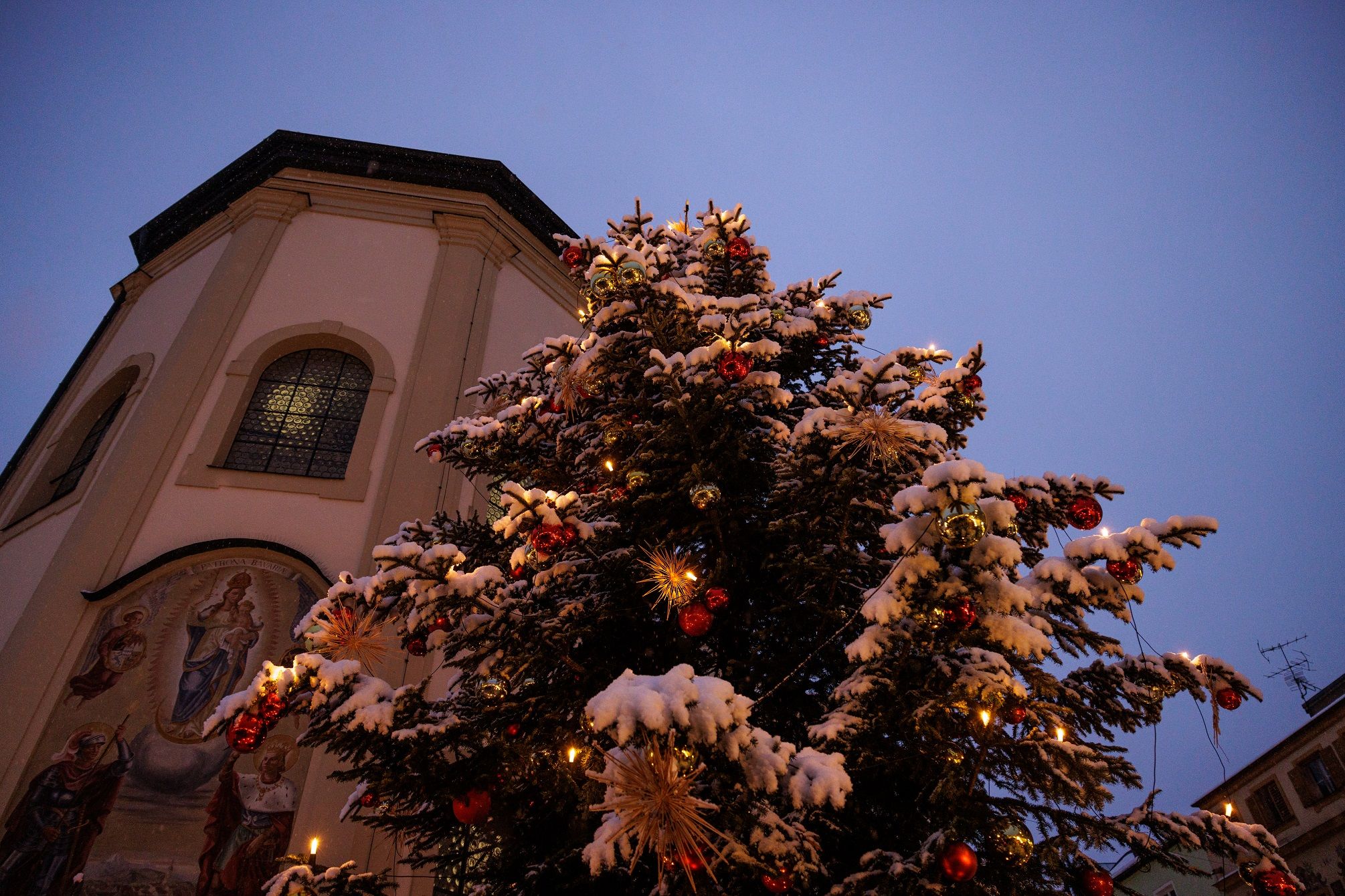 Foto CKM TS Christkbaum