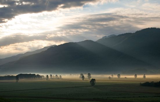Abendstimmung Bergener Moos