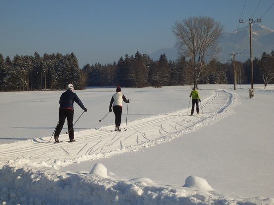 Loipe Rottauer Runde