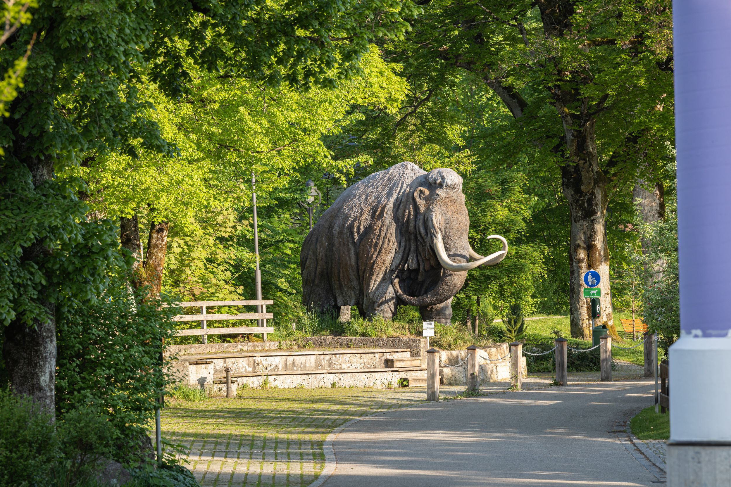 Siegsdorfer Mammut Rudi