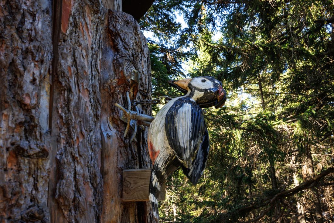 Spielstation am Bergwalderlebnisweg