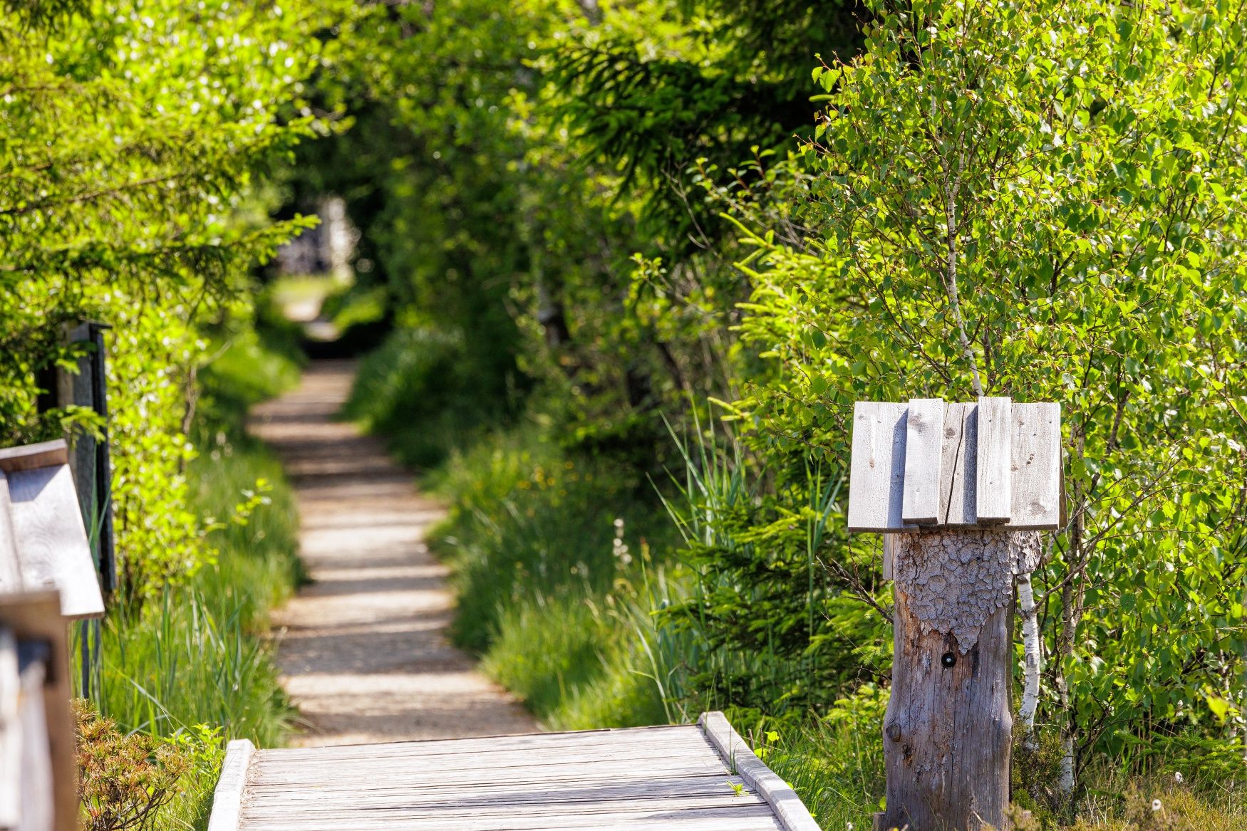 Rätselstationen am Moorerlebnisweg