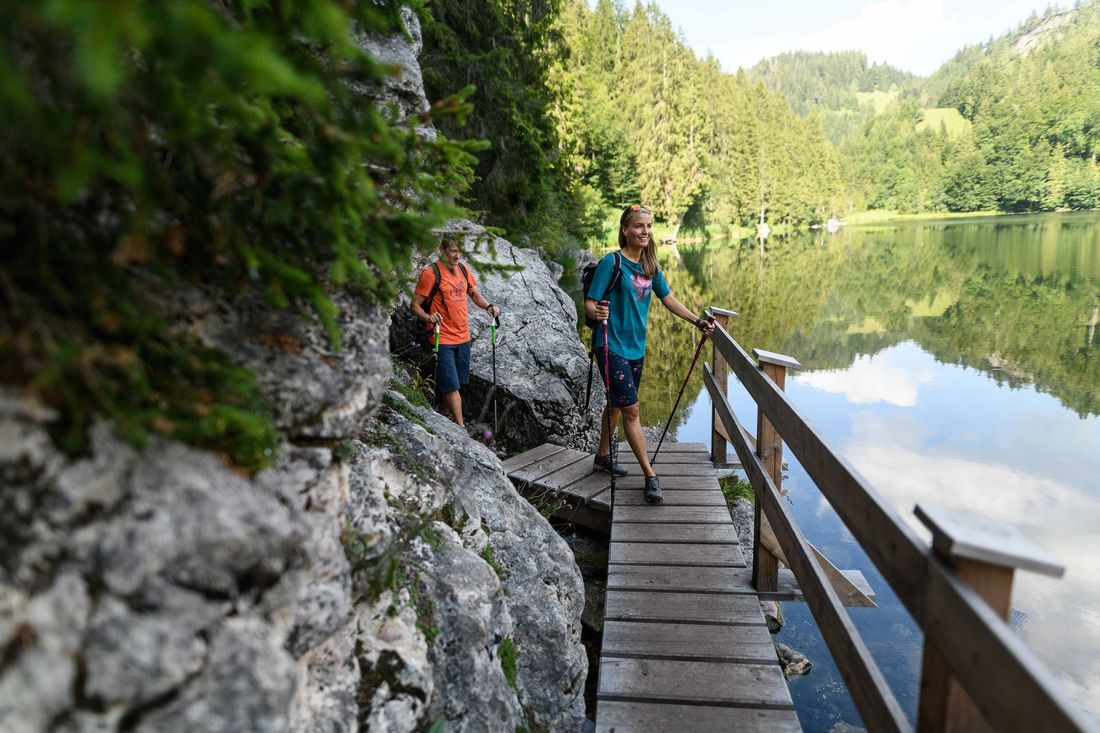 taubensee