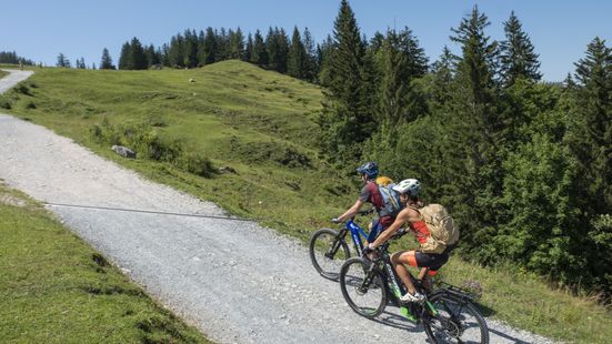 Weg zu den Bründling-Almen