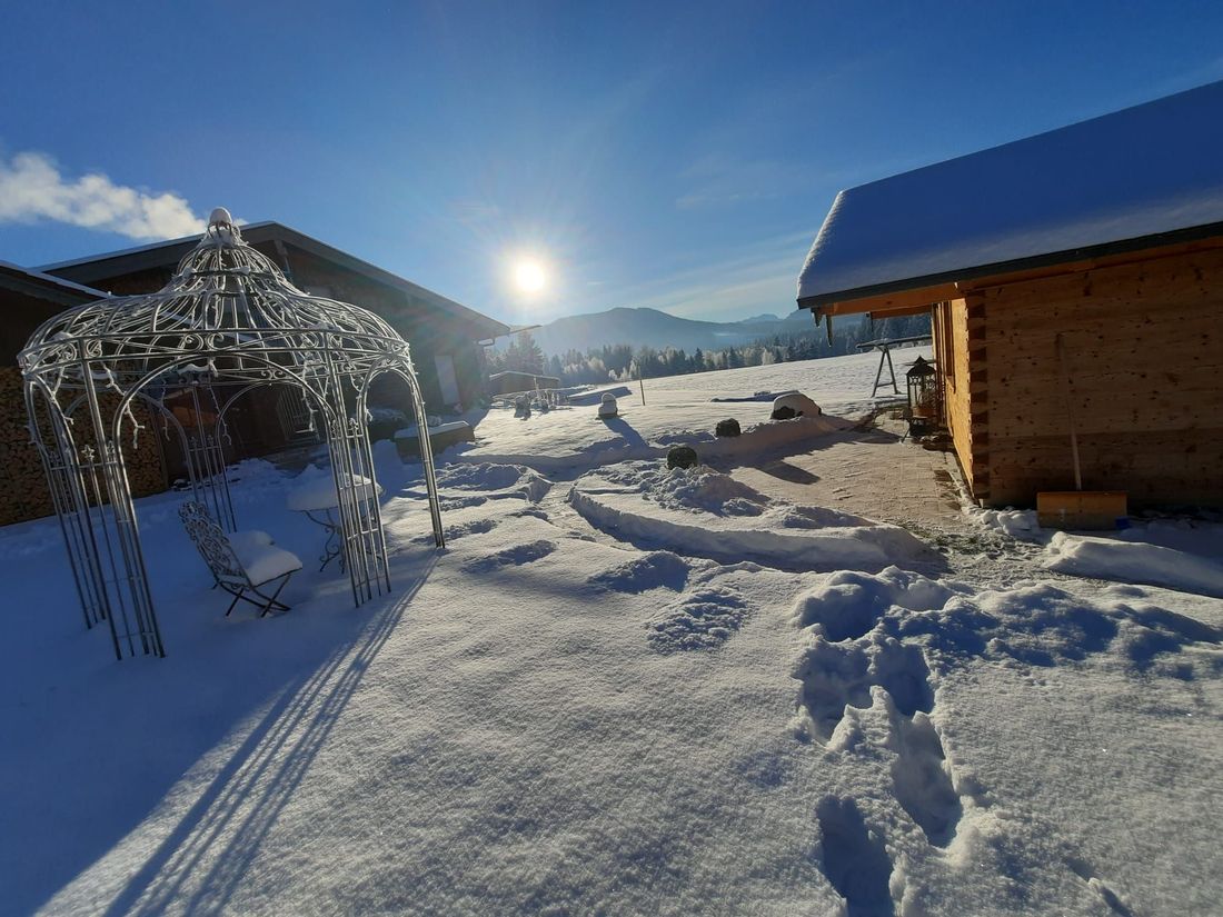 Garten im Winter