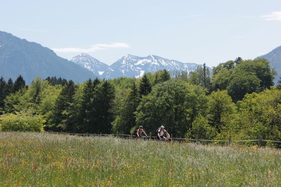 Landschaft mit Radfahrer