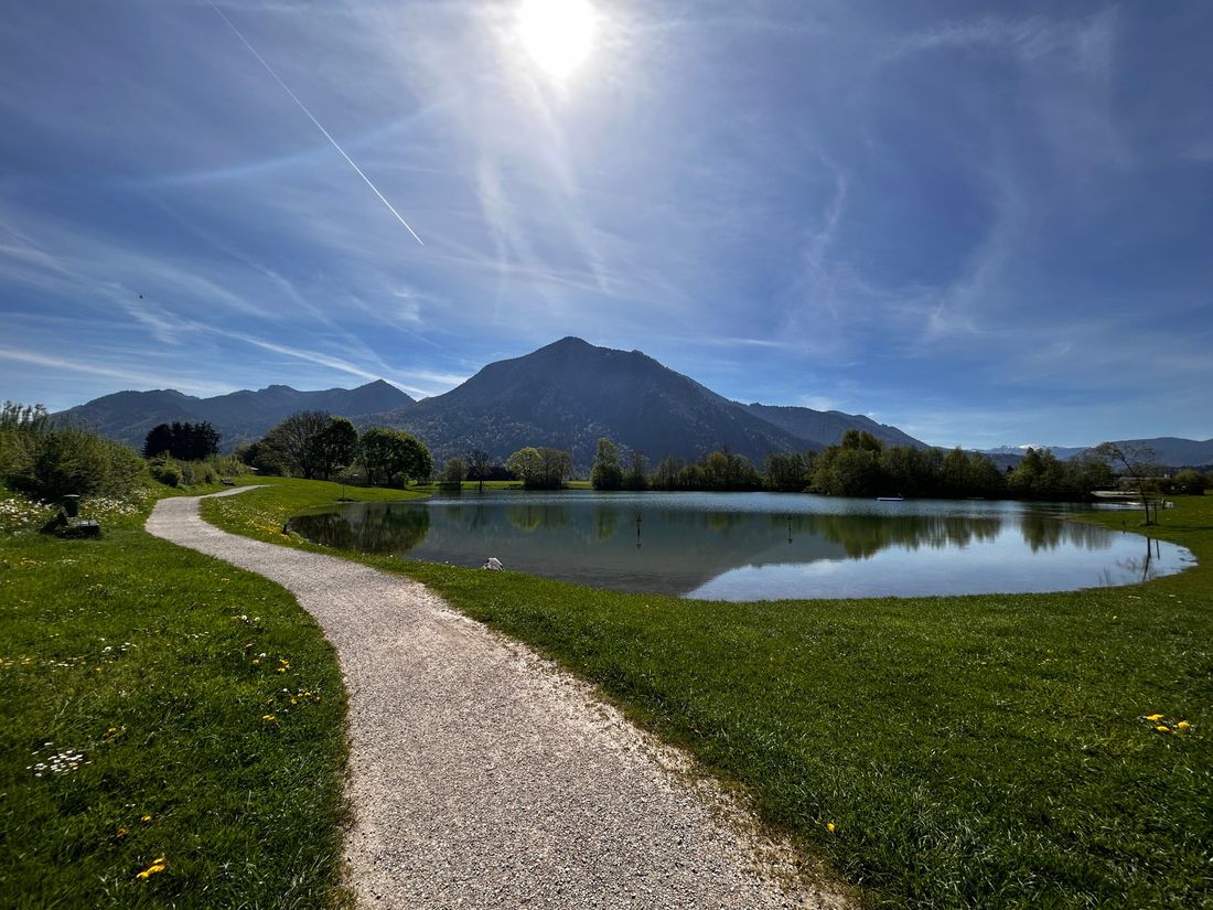 Der Reifinger See im Frühling